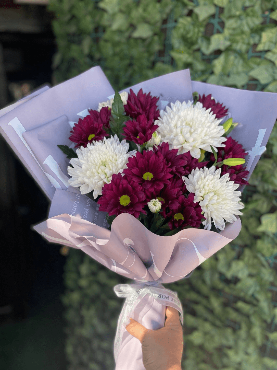 Combination of White and Purple Chrysanthemums — 2
