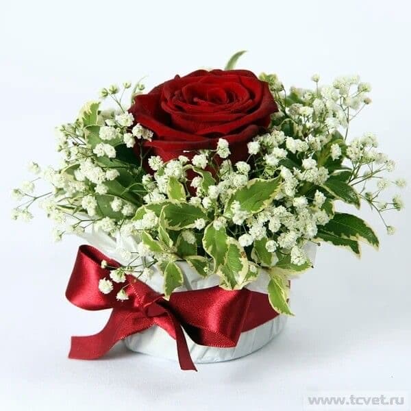 Elegant Red Rose in Mini Arrangement image