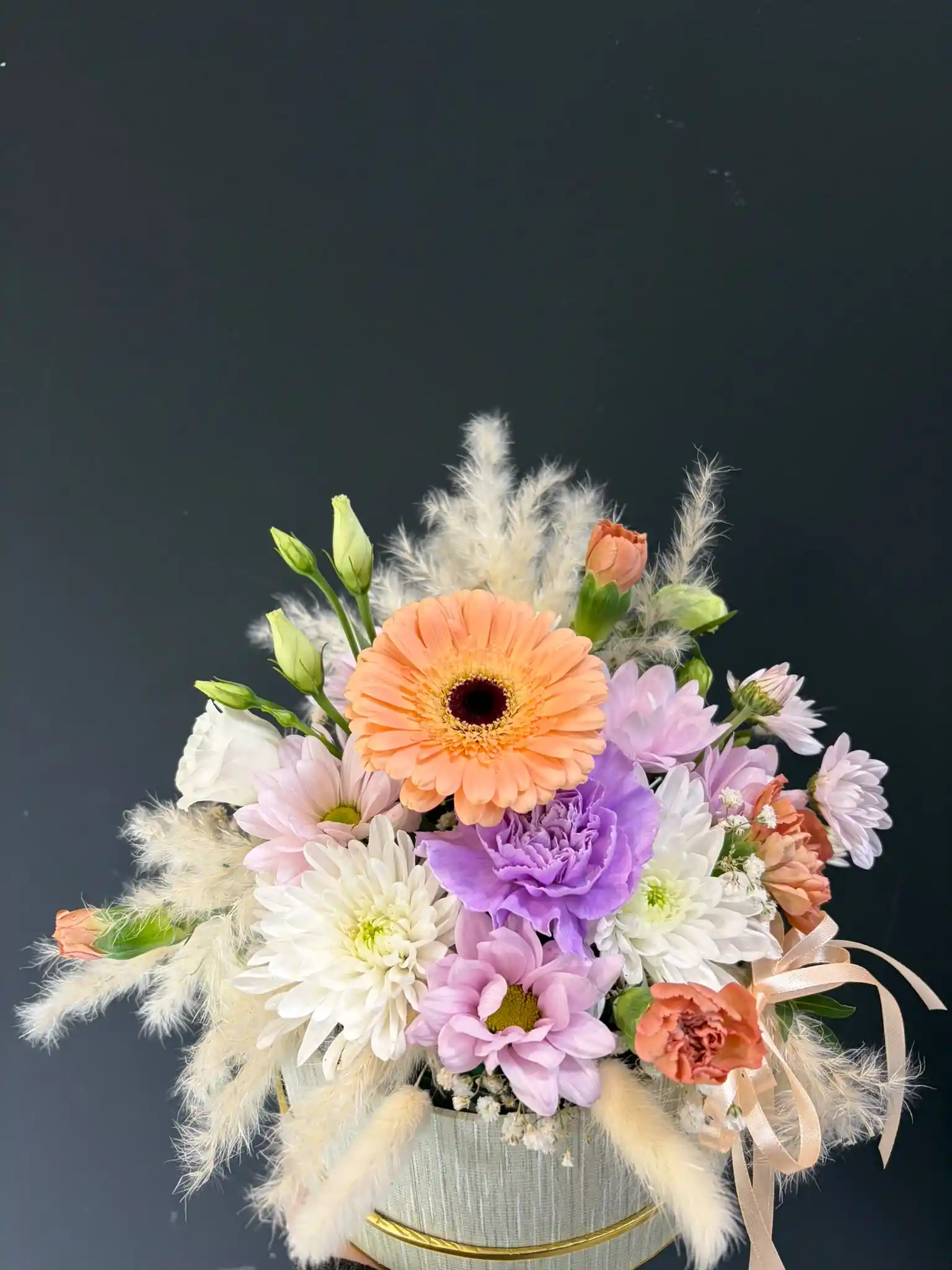 Gentle Joy — 2