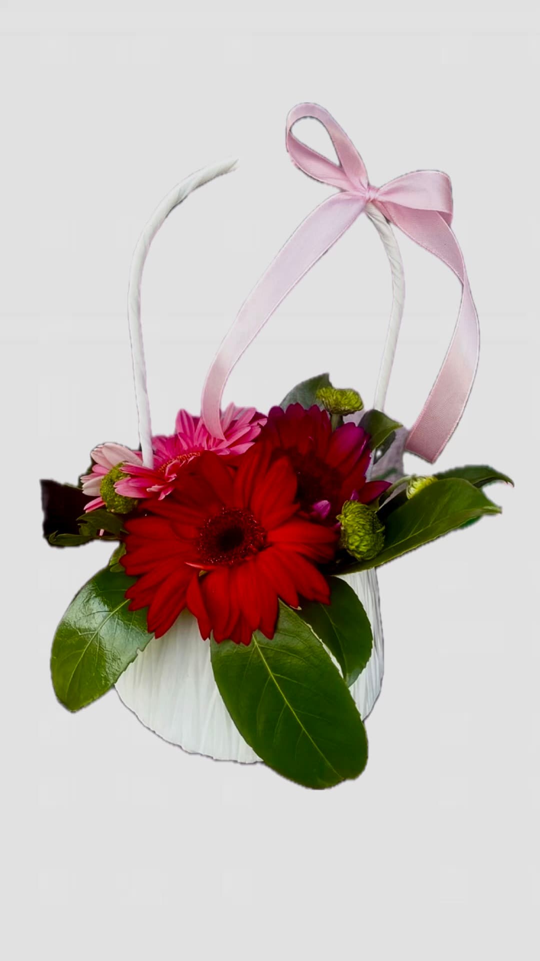 Слика на Три гербери во кошничка