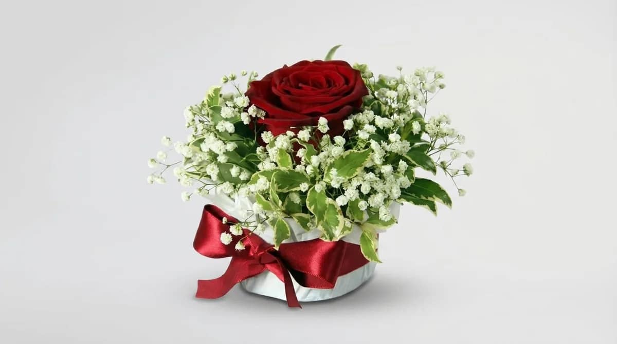 Elegant Red Rose in Mini Arrangement — 2