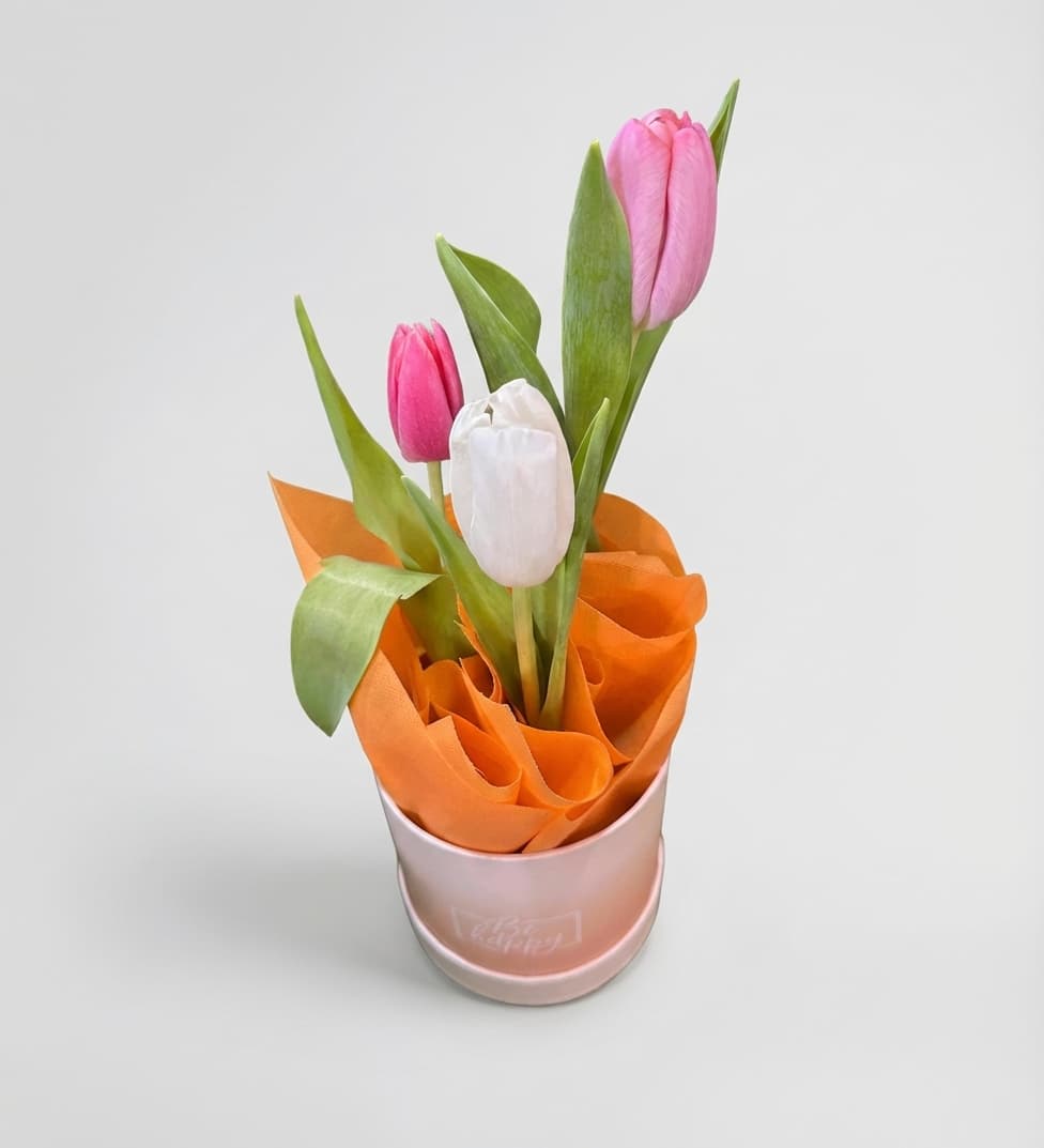 Слика на Мини Триo Лалиња