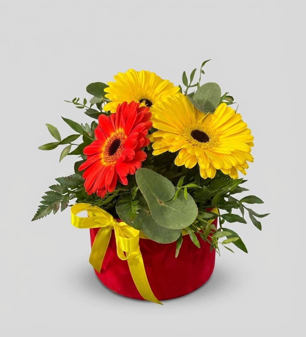 Слика на Кутија со гербери Сонце