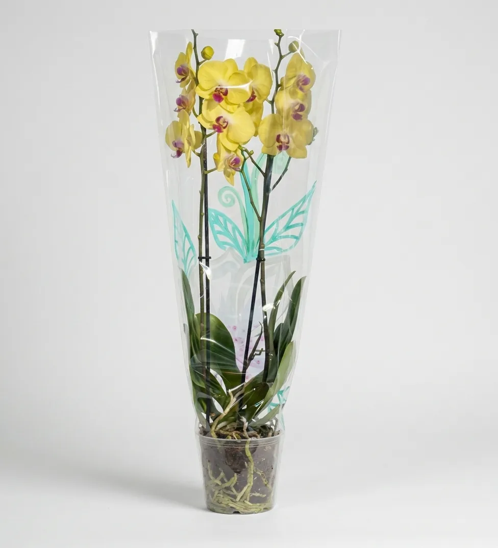 Yellow Orchid image