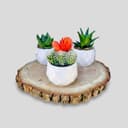 Product carousel Indicator