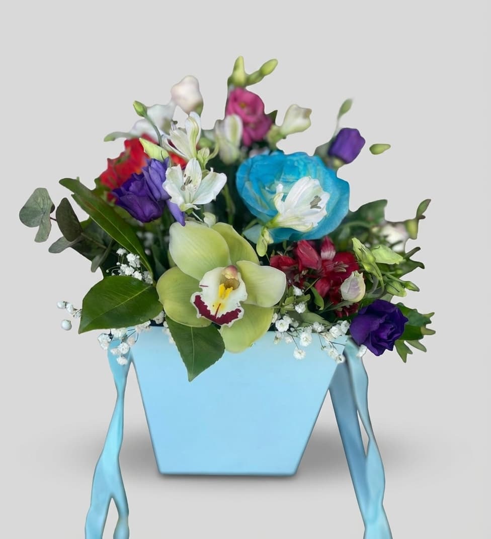 Слика на Егзотична хармонија во светло сина кутија