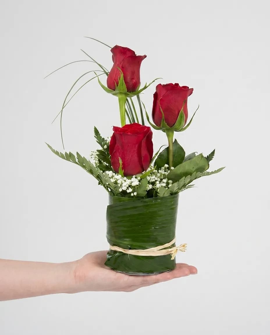 Elegance with Three Red Roses image